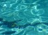 Bientôt la Piscine… avec l&rsquo;aide du bicarbonate !
