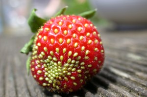 Fraise Fraise et bicarbonate pour un lavage en profondeur