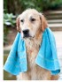 Shampoing désodorisant pour chiens