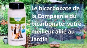 Bicarbonate au jardin